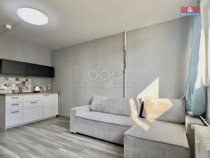 Pronájem bytu 1+kk, Praha - Střížkov, Děčínská, 24 m2