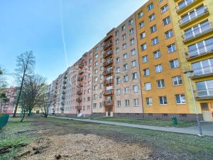 Pronájem bytu 3+kk, Ostrava, Svojsíkova, 61 m2