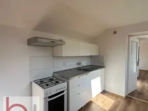 Pronájem bytu 1+1, České Budějovice, 42 m2