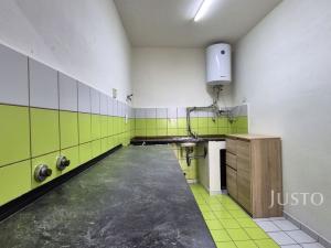 Pronájem bytu 3+1, Písek - Pražské Předměstí, Čechova, 84 m2