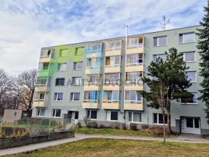 Pronájem bytu 1+1, Židlochovice, sídl. Družba, 32 m2