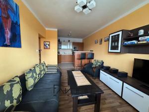 Prodej bytu 2+kk, Ostrava, Provaznická, 53 m2