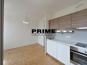 Pronájem bytu 1+kk, Praha - Vinohrady, Lucemburská, 30 m2