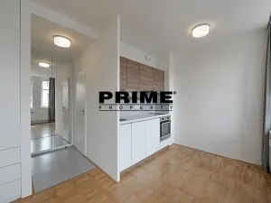 Pronájem bytu 1+kk, Praha - Vinohrady, Lucemburská, 30 m2