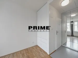 Pronájem bytu 1+kk, Praha - Vinohrady, Lucemburská, 30 m2