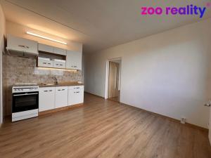 Pronájem bytu 1+1, Žatec, Družstevní, 38 m2