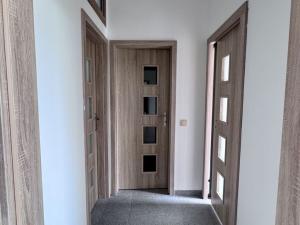 Pronájem bytu 2+kk, Dolany, 55 m2