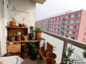Prodej bytu 3+1, Hradec Králové, Štefánikova, 65 m2