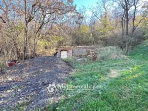 Prodej - jiné, Dyjákovičky, 226 m2