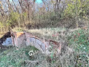 Prodej - jiné, Dyjákovičky, 226 m2