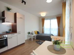 Pronájem bytu 1+kk, Brno - Zábrdovice, Bratislavská, 64 m2