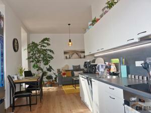 Pronájem bytu 2+kk, Olomouc - Hodolany, Holická, 52 m2