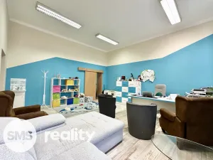 Pronájem ordinace, Opava - Město, Nákladní, 103 m2