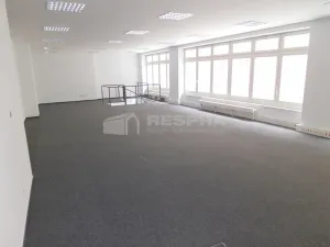 Pronájem obchodního prostoru, Praha - Staré Město, Revoluční, 380 m2