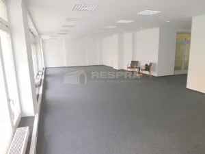 Pronájem obchodního prostoru, Praha - Staré Město, Revoluční, 380 m2