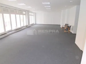 Pronájem obchodního prostoru, Praha - Staré Město, Revoluční, 380 m2