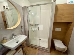 Pronájem bytu 2+kk, Černý Důl, 66 m2