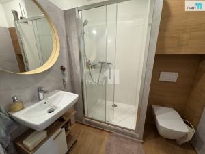 Pronájem bytu 2+kk, Černý Důl, 66 m2