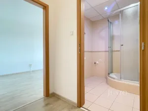 Pronájem bytu 1+1, Most, Brněnská, 39 m2