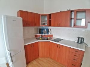 Pronájem bytu 2+kk, Plzeň, Slovanská, 54 m2