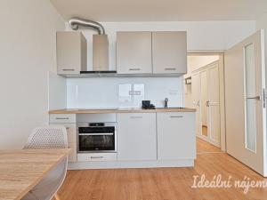 Pronájem bytu 1+kk, Brno, Reissigova, 34 m2