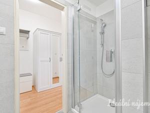 Pronájem bytu 1+kk, Brno, Reissigova, 34 m2