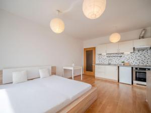 Pronájem bytu 1+kk, Praha - Horní Měcholupy, Modenská, 26 m2