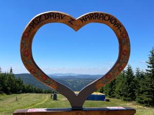 Pronájem bytu 1+kk, Harrachov, 12 m2