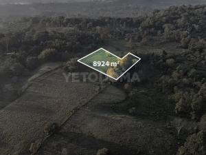 Prodej pozemku pro bydlení, Puerto Jiménez, Kostarika, Calle Los Pollos, 8924 m2