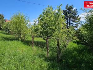 Prodej chaty, Jevíčko, 61 m2