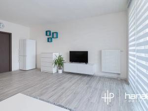 Pronájem bytu 1+kk, Olomouc, Aloise Rašína, 44 m2