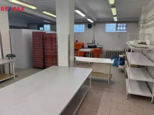 Pronájem výrobních prostor, Jihlava, Na Vyhlídce, 700 m2