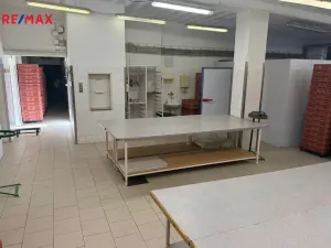 Pronájem výrobních prostor, Jihlava, Na Vyhlídce, 700 m2