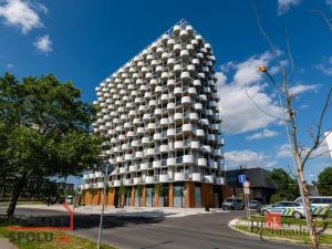 Pronájem bytu 4+kk, Plzeň - Jižní Předměstí, U Borského parku, 119 m2