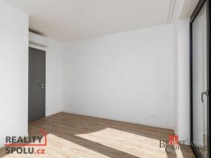 Pronájem bytu 4+kk, Plzeň - Jižní Předměstí, U Borského parku, 119 m2
