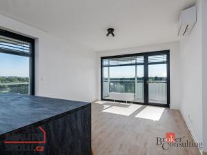 Pronájem bytu 4+kk, Plzeň - Jižní Předměstí, U Borského parku, 119 m2
