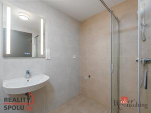 Pronájem bytu 4+kk, Plzeň - Jižní Předměstí, U Borského parku, 119 m2