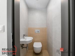 Pronájem bytu 4+kk, Plzeň - Jižní Předměstí, U Borského parku, 119 m2