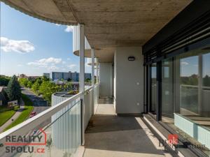 Pronájem bytu 4+kk, Plzeň - Jižní Předměstí, U Borského parku, 119 m2
