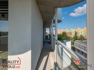 Pronájem bytu 4+kk, Plzeň - Jižní Předměstí, U Borského parku, 119 m2