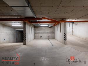 Pronájem bytu 4+kk, Plzeň - Jižní Předměstí, U Borského parku, 119 m2