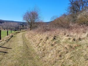 Prodej lesa, Běštín, 21632 m2