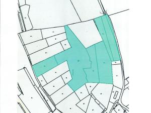 Prodej lesa, Běštín, 21632 m2