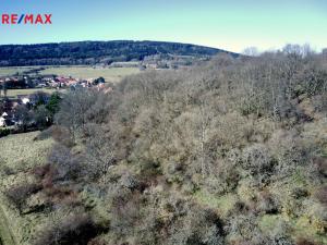 Prodej lesa, Běštín, 21632 m2