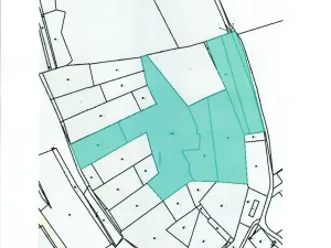 Prodej lesa, Běštín, 21632 m2