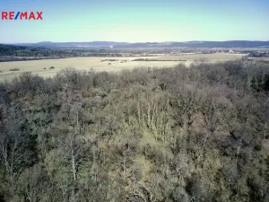 Prodej lesa, Běštín, 21632 m2