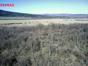 Prodej lesa, Běštín, 21632 m2