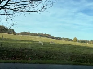 Prodej rodinného domu, Ondřejov - Třemblat, Výstavní, 310 m2