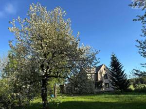 Prodej rodinného domu, Kamenický Šenov, Nadlesí, 519 m2