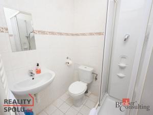Prodej ubytování, Světlá pod Ještědem - Hoření Paseky, 702 m2